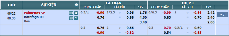 nhan-dinh-soi-keo-palmeiras-vs-botafogo-luc-07h30-ngay-22-8-2024-2